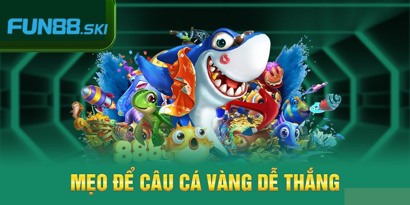 Hướng dẫn tham gia TP câu cá vàng tại KUBET